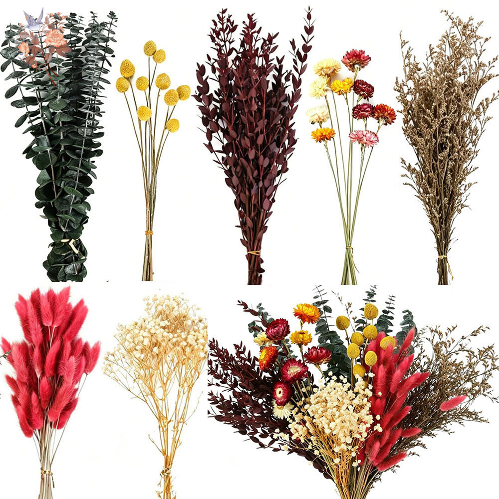 Florist Flower Supply - مجموعة كبيرة من الزهور المجففة، 7